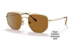 VO4220-SOL-280/8354-POLARIZADOS